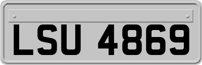 LSU4869