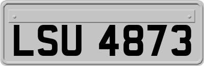 LSU4873