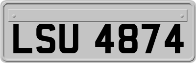 LSU4874