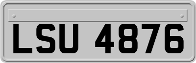 LSU4876
