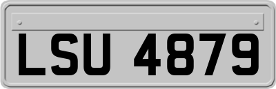 LSU4879