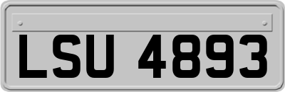 LSU4893