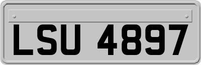 LSU4897