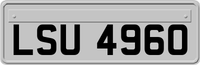 LSU4960