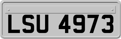 LSU4973