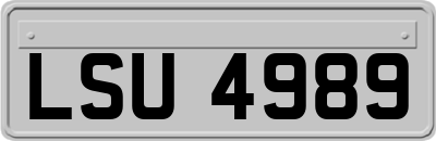 LSU4989