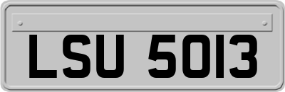 LSU5013