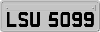 LSU5099