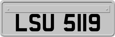 LSU5119