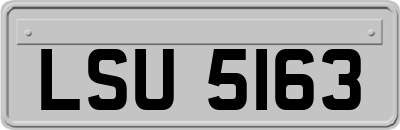 LSU5163