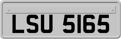 LSU5165