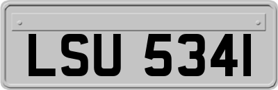 LSU5341