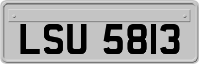 LSU5813