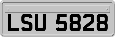 LSU5828