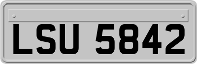 LSU5842