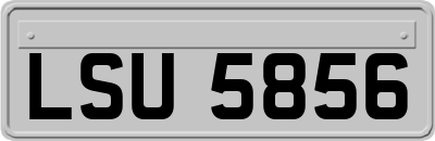 LSU5856