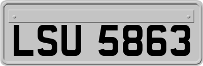 LSU5863