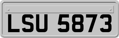 LSU5873