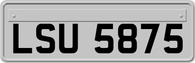 LSU5875