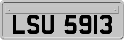 LSU5913