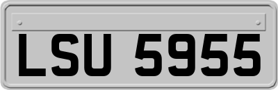 LSU5955