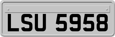 LSU5958