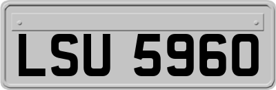 LSU5960