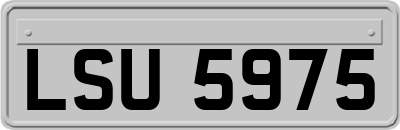 LSU5975