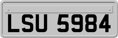 LSU5984