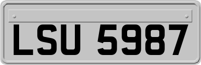 LSU5987