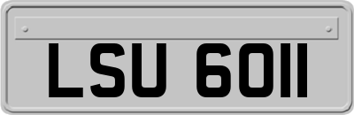 LSU6011
