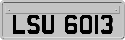 LSU6013