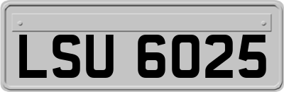 LSU6025