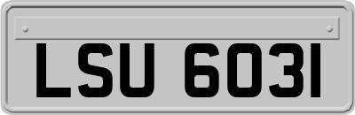 LSU6031