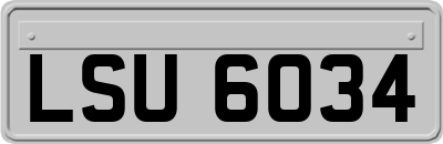 LSU6034