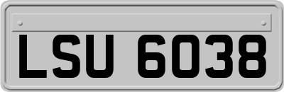 LSU6038