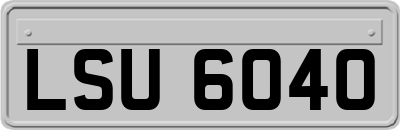 LSU6040