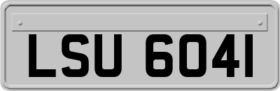 LSU6041