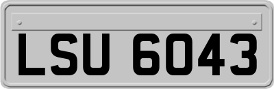 LSU6043