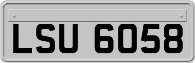 LSU6058