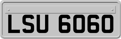 LSU6060