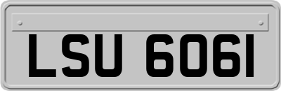 LSU6061