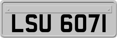 LSU6071