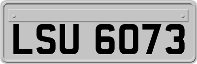 LSU6073