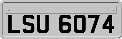 LSU6074