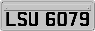 LSU6079