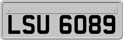 LSU6089