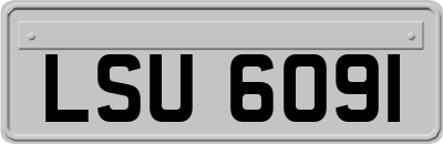 LSU6091