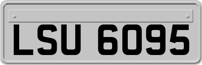 LSU6095