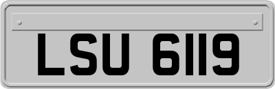 LSU6119